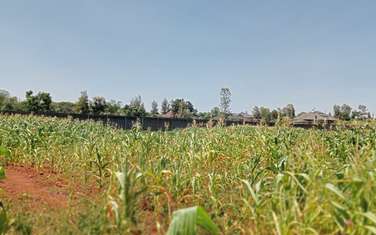   residential land for sale in Runda