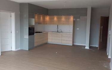 1 Bed Apartment with Aircon at Lavington