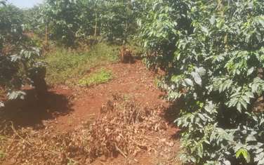 403 ac Land at Near Tatu City Estate