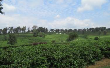 Land in Kiambu Town