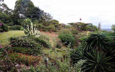 5 Bed House with Swimming Pool at Greenpark Naivasha