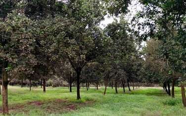 Land at Gatanga Road Past Jogoo Opposite Bahati Ridges Estate.