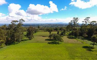 0.125 ac Residential Land in Rironi