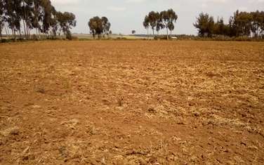 Land at Timau