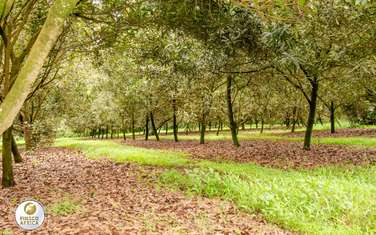 0.045 ha Residential Land at Gatanga Rd