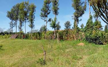 Land at Naivasha