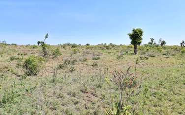 40 ac Land in Nyeri