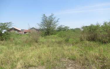 Land at Nyasa Rd