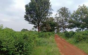 Land at Gathambara