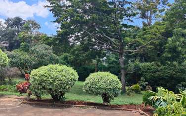 0.5 ac Land at Rosslyn
