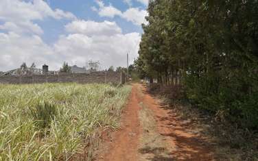 0.125 ac land for sale in Kikuyu Town