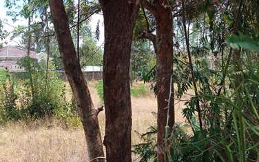 2024 m² commercial land for sale in Kasarani Area