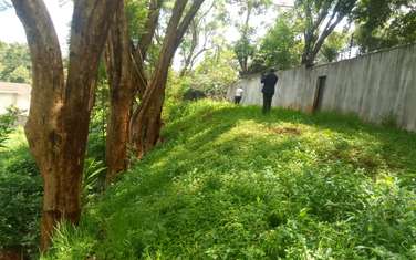 Land in Muthaiga