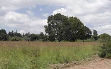 0.5 ac Land at Off Ruaka-Limuru Road