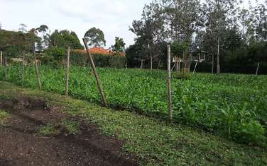 500 m² residential land for sale in Ongata Rongai