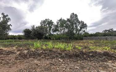 0.25 ac land for sale in Ngong