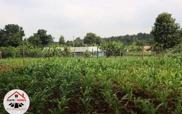 500 m² Commercial Land at Thogoto