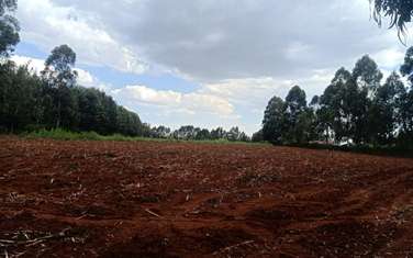 5 ac land for sale in Trans Nzoia