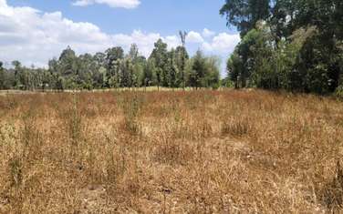Land in Nanyuki