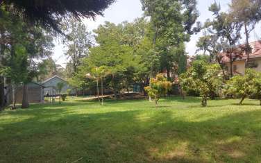 1 ac Commercial Property with Fibre Internet in Lavington