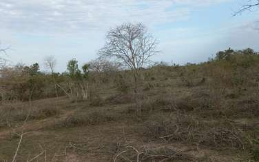 100 ac Commercial Land at Lungalunga