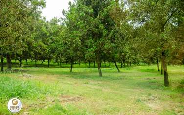 500 ft² Residential Land at Opposite Blue Post Off Gatanga Road