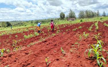 1 ac Land at Nyeri Highway