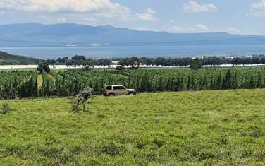 Land in Naivasha