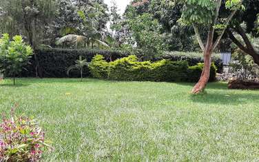 2 Bed House with Garden in Nyari