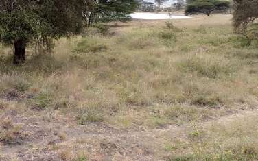 Land at Maanzoni