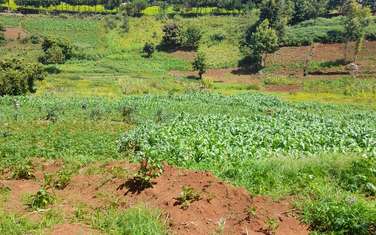 Residential Land at Tigoni Riara Ridge