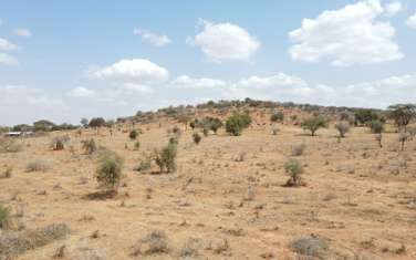 Land at Amboseli Road