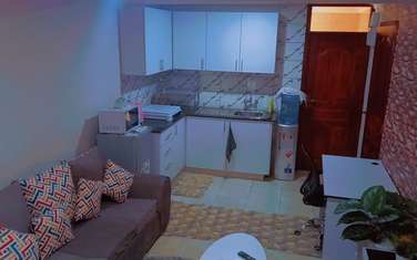 Furnished Studio Apartment with Backup Generator in Runda