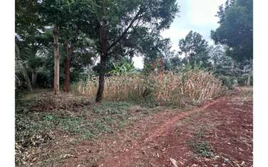 Residential Land in Thome