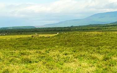 80 ac land for sale in Longonot