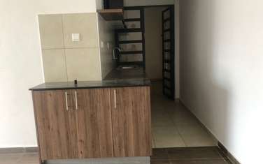 2 Bed Apartment with En Suite in Pangani