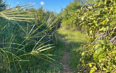 5,000 ft² Residential Land in Diani