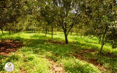 500 ft² Residential Land at Opposite Blue Post Off Gatanga Road