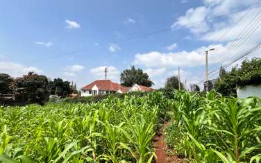 Residential Land in Runda