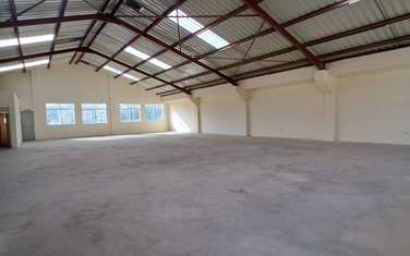 11,510 ft² Warehouse with Backup Generator in Thika Road