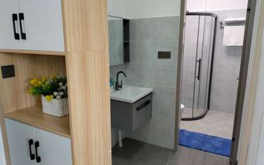 Furnished Studio Apartment with En Suite in Kilimani
