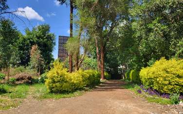 Commercial Land in Lower Kabete