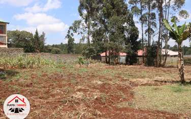 1,000 m² Commercial Land at Damacrest Area