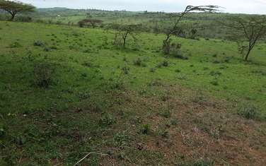 4 ac Residential Land in Kiserian