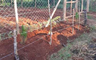 Residential Land at Githunguri -Ruiru