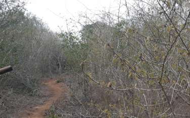 6.07028 ha land for sale in Malindi Town