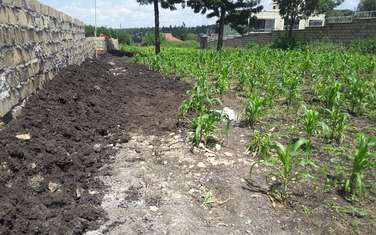 0.125 ac Residential Land in Ongata Rongai