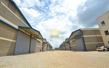 Warehouse in Ruiru