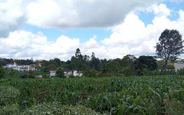 Residential Land at Tigoni