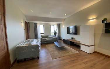 Furnished 2 Bed Apartment with En Suite in Kitisuru